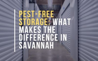Pest-Free Storage: What Makes the Difference in Savannah